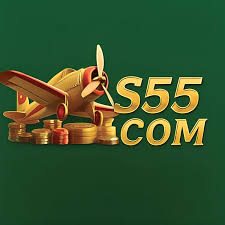 S55