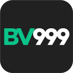 bv999.vip
